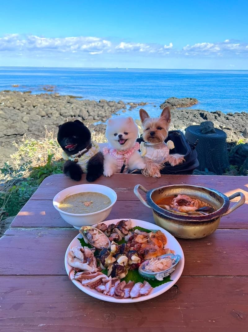 가평 글램핑 주말 트립 동행