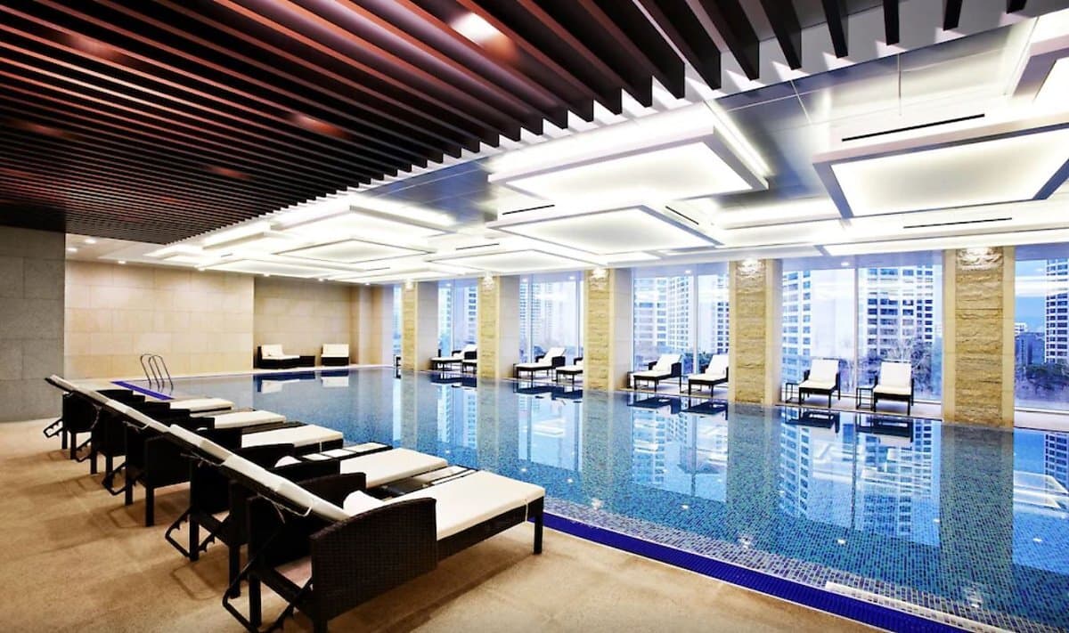 도그 스위트 강남