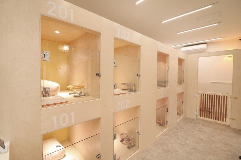 퍼피 하우스 홍대