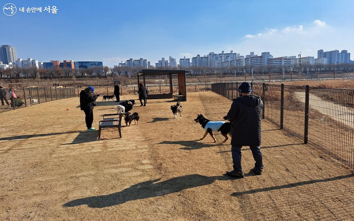 반포 한강 반려견 놀이터