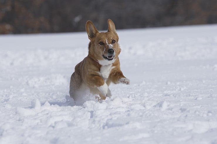 리조트 & 풀빌라