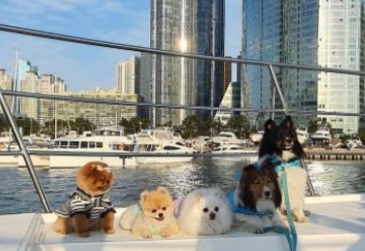 한라산 둘레길 반려견 코스