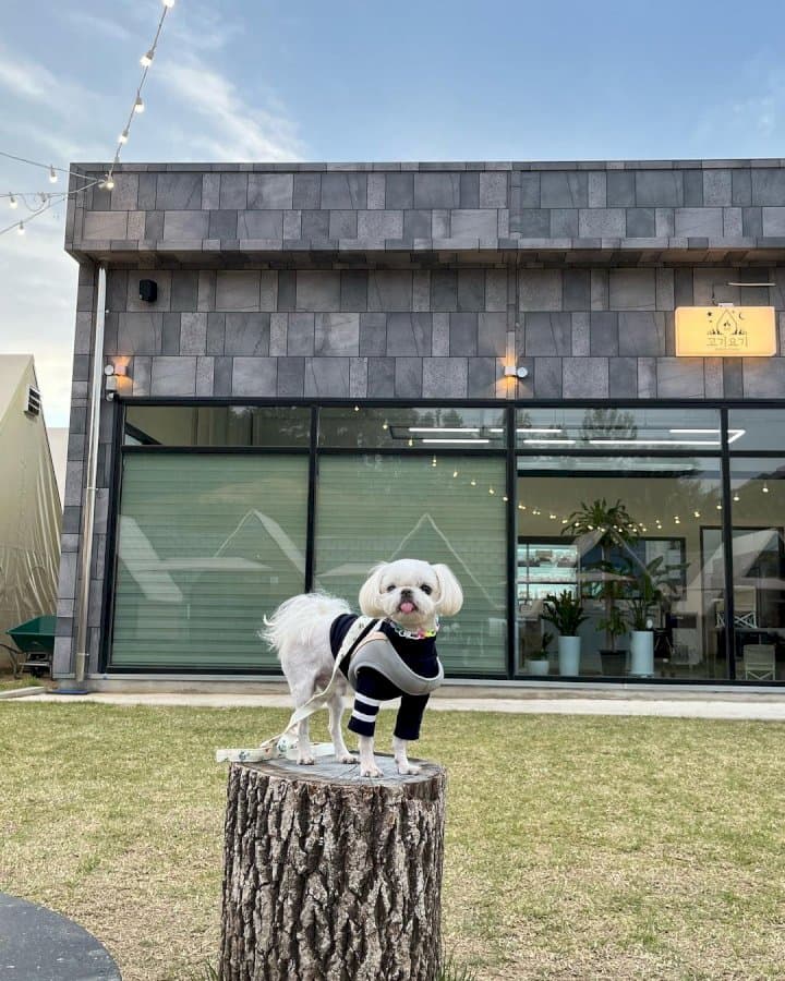 북한산 등산 도전 성공 🏔️