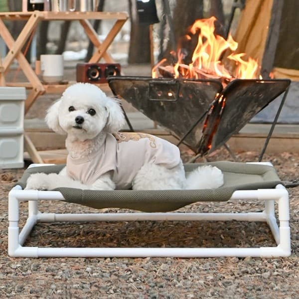 경주 황리단길 반려견 산책