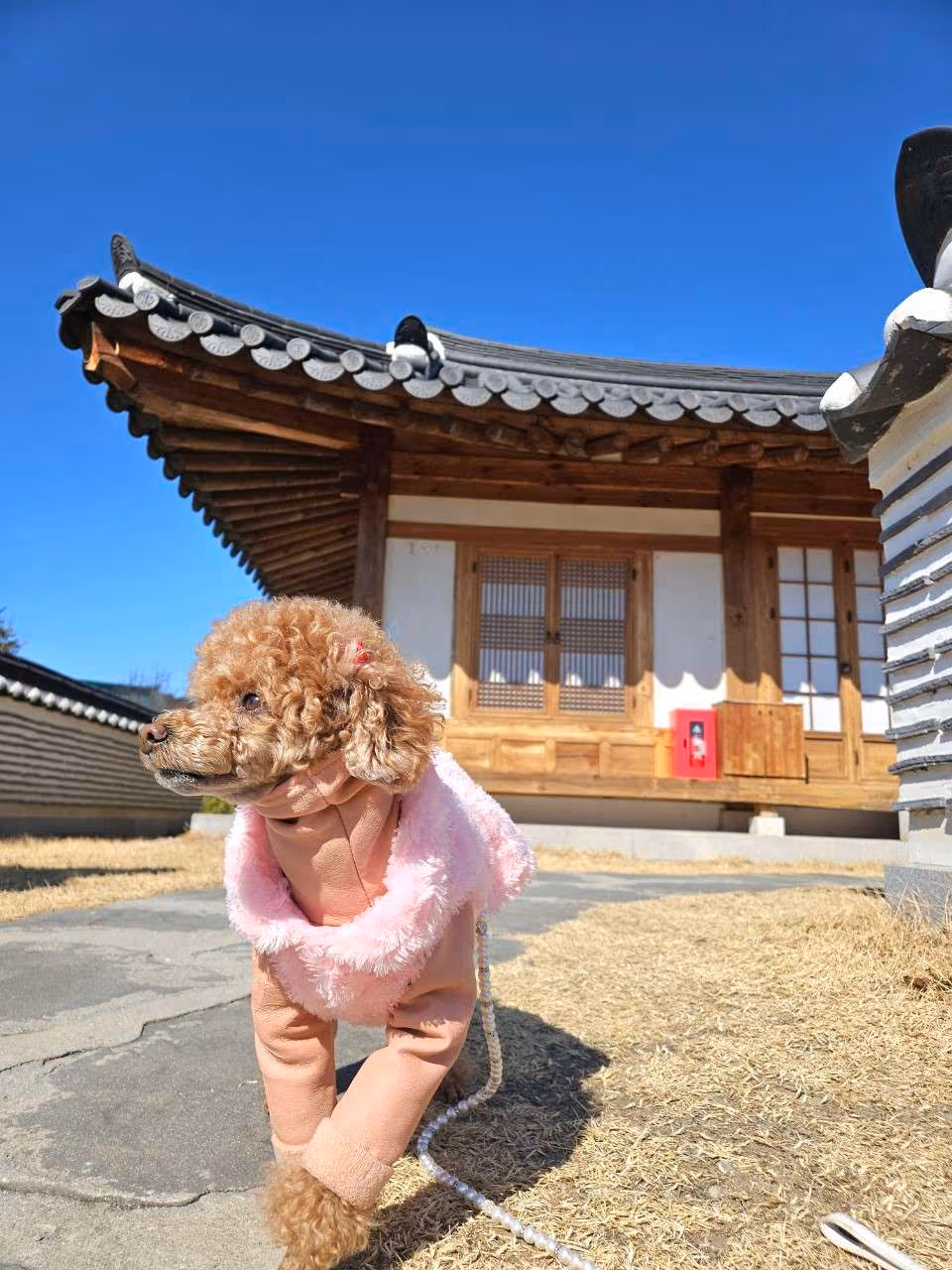 인천 월미도 공원 산책