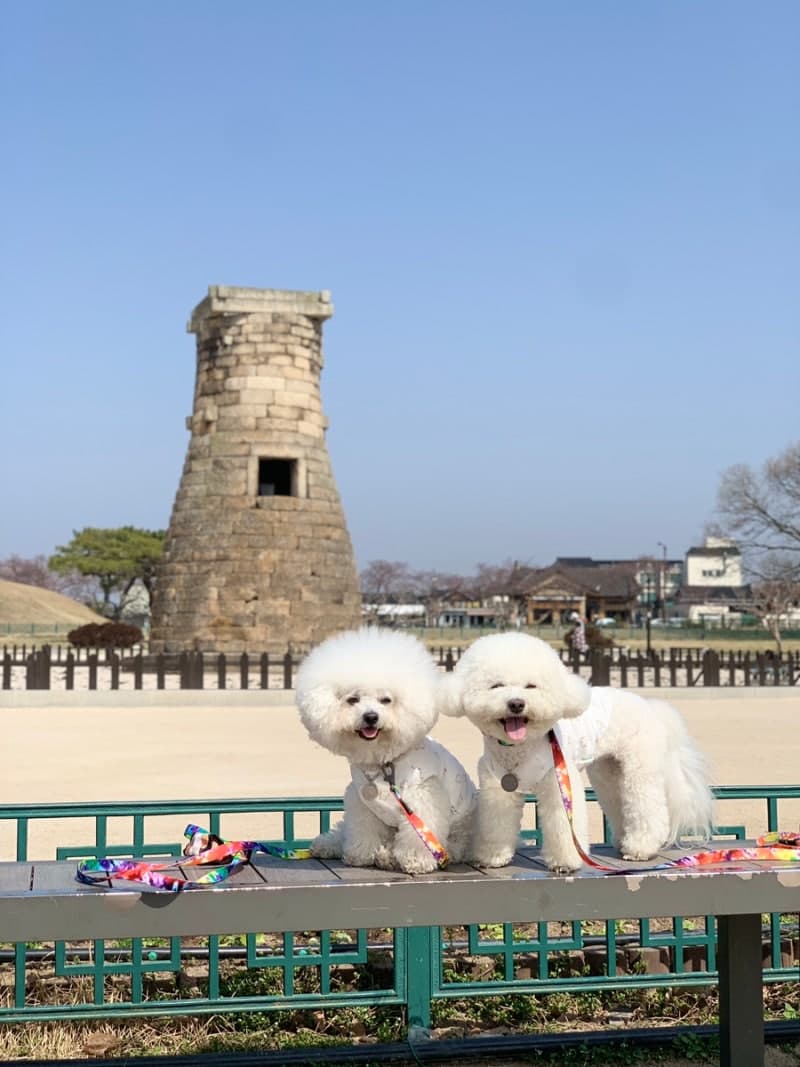 제주 우도 자전거 투어